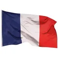 PHENO FLAGS Flagge Frankreich Flagge Französische Fahne Nationalflagge (Hissflagge für Fahnenmast), Inkl. 2 Messing Ösen 250 x 150 cm
