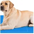 Kühlmatte für Hunde Katzen 90x50 cm Selbstkühlung PVC Kratzfest
