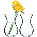 KADAX 2 Stück Blumenvase, 18cm Vase aus Glas, ⌀8cm Glasblumenvase mit einem 11cm Hals, Durchsichtige Tischvase, Klarglasvase, Glasvase für Blumen, Dekovase für Wohnzimmer (18cm / 2 Stück)