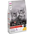 Pro Plan Cat Original Kitten 1-12 Monate OPTISTART Trockenfutter, reich an Huhn, 1er Pack (1x 1,5kg)