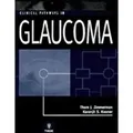 Clinical Pathways in Glaucoma von Thom J. Zimmermann/ Karanjit S. Kooner/ Thom J Zimmerman / Thieme Publishers New York / Buch