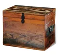 vidaXL Truhe Design-3 Aufbewahrungstruhe Altholz 39x28x31 cm