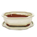 exotenherz Bonsai-Schale mit Unterteller Gr. 4 Hellbeige haitang/oval Modell I4 L 26cm B 20,5cm H 8,5cm