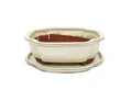 Exotenherz Pflanzschale Bonsai-Schale Unterteller Gr.4 hellbeige haitang/oval Modell I4 L 26cm (1 St)