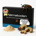 Nematoden gegen Gartenlaubkäfer. Engerlinge wirksam bekämpfen 50 Mio für 100 m²