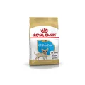 Royal Canin Chihuahua Puppy | 500 g | Alleinfuttermittel speziell für Chihuahua-Welpen | Bis zum 8. Monat | Kann zur Reduzierung von Stuhlgeruch beitragen | Trockenfutter