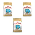 Royal Canin Chihuahua Puppy | 3er Pack | 3 x 500 g | Trockenfutter für Chihuahua Welpen bis zum 10. Monat | Zur Unterstützung der körpereigenen Abwehrkräfte | Hohe Akzeptanz
