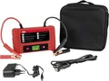 APA APA Lithium Powerbank 300/600A 12V mit Starthilfe Powerstation