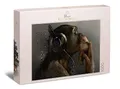 Ulmer Puzzleschmiede - Puzzle „Sound of Evolution“ - Klassisches 1000 Teile Puzzle – Kunst-Motiv AFFE mit Musik-Kopfhörer - modernes künstlerisches Tier-Puzzle