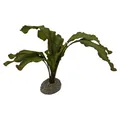 Aqua Della Aquarium Dekoration Echinodorus 5cm grün Kunstpflanze für Fische