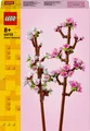 Kirschblüten