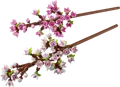 LEGO 40725 - LEGO Kirschblüten