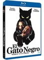 Gatto nero (The Black Cat) von Research | DVD | Zustand sehr gut