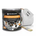 Flüssigfolie Dicht Set DIY 1kg Grau inkl. Pinsel & Vlies – Abdichtung Set sofort dicht, 3-fach Ergiebigkeit, lösemittel- & bitumenfrei