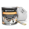 HSS Flüssigkunststoff Abdichtungsset inkl. Pinsel & Vlies – UV- & witterungsbeständig – MS-Polymer – lösungsmittel- & bitumenfrei – Grau – 1 kg für ca. 1 m²