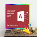 Microsoft Access 2016 Professional