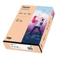 inapa farbiges Druckerpapier, buntes Papier tecno Colors: 160 g/m², A4, 250 Blatt, lachs