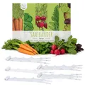 5m Saatband 5er Set bestehend aus Karotten, Radieschen, Rucola, Feldsalat & Pflücksalat Samen - Ideal für die Anzucht im Garten, Balkonkasten & Gemüsebeet