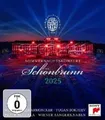Sommernachtskonzert 2025 / Summer Night Concert 2025, Tugan Sokhiev