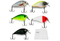 Zite Kunstköder Crankbait-Wobbler-Set mit Rasselkugel 5,5 cm 6,5 g Spinnangeln 5 Stück