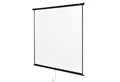 in.tec Rolloleinwand (Projektionsleinwand 4K 3D, Bildschirmdiagonale 113 Zoll / 287cm)