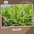 Rucola Wilde Rauke ca. 2000 Samen - Salatrauke mit nussigem Aroma