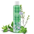 Jean & Len Anti-Schuppen Shampoo Thymian & Minze, vegane Pflegeformel, mit Piroctone Olamine, gegen Schuppen, für die tägliche Haarwäsche geeignet, ohne Parabene & Silikone, vegan, 300 ml