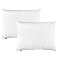 sleepling Kopfkissen 70x90 cm 2er Set, Polster, Allergiker Kissen, waschbar, Made in EU, Ökotex, großes Schlafkissen 70 x 90, Bettkissen, Pillow, 2 Stück, Komfort 100