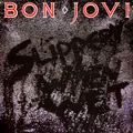 Bon Jovi - Slippery When Wet (Vinyl LP - 1986 - EU - Reissue)