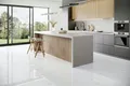 FALQUON GmbH Laminat Stone 2.0 Fliese - 810 x 400 x 8 mm - hochglänzend -, Packung, In 1 Packung: 8 Paneele - 2,592 m², 1 Packung: 8 Paneele - 2,592 m²