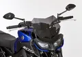 ERMAX Naked-Bike-Scheibe passend für Yamaha MT-09 / SP 2017-2020