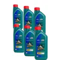 Motoröl 5W-30 Castrol Ford Magnatec A5 6x1 Liter