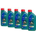 Motoröl 5W-30 Castrol Ford Magnatec A5 5x1 Liter