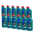 Motoröl 5W-30 Castrol Ford Magnatec A5 12x1 Liter