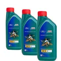 Motoröl 5W-30 Castrol Ford Magnatec A5 3x1 Liter