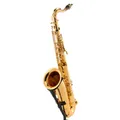 YTS-480 Tenor Sax