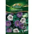 Glockenrebe, Glockenklang