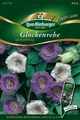 Glockenrebe Glockenklang Samen von Quedlinburger Saatgut