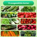 Gemüsesamenset 12 Sorten Samen Saatgut für Gemüse Geschenkset