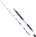WFT ELECTRA SPEED JIG 2,00m 30lbs Pilkrute Bootsrute