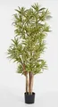 Kunstbaum Dracaena Reflexa YASU, grün-gelb, schwer entflammbar, 180cm Dracaena (Dracaena reflexa jamaica), artplants, Höhe 180.0 cm