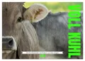 Voll kuhl - der Kuhkalender mit Kühen aus dem Allgäu (Tischkalender 2026 DIN A5 quer), CALVENDO Monatskalender: Ein liebevoll gestalteter Kuhkalender ... kuhl, ein Muuhhhsthave. (CALVENDO Tiere)