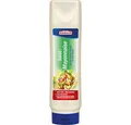 Homann Saucen, Homann Salat Mayonnaise 50 Prozent der fein würzige Klassiker 875 ml