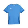 Puma Teamgoal Matchday Trikot Kurzarm Kinder - Royal