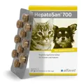 Alfavet HepatoSan 700 – Ergänzungsfuttermittel für Hunde – Zur Unterstützung des Leberstoffwechsels – Mit Mariendistel, Artischockenblatt & Curcuma – 30 Tabletten à 700 mg