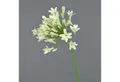 Kunstblume Künstlicher Agapanthus PHILINA, Creme, 75cm, Ø 14cm Agapanthus, artplants, Höhe 75.0 cm
