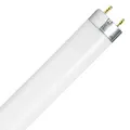 Osram Active Daywhite - 58 W - G13 - 5200 lm