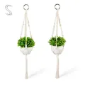 PASCH® 2er Set Kunstpflanzen mit Makramee Blumenampel und weißen Keramiktöpfen | Künstliche Pflanzen (14cm) + Blumenampel Makramee (60cm) | Hängepflanze künstlich | Künstliche Hängepflanzen