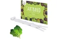 HappySeed Gemüsesamen 5m Saatband mit Salat Mix Samen - Lactuca sativa var. crispa, Saatgut