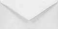 Netuno 100 weiße Briefkuverts DIN Lang 110 x 220 mm 120g Aster Smooth White Briefumschläge DL ohne Fenster für Gruß-Karten Hochzeits-Karten Einladungen Geburtstag Taufe
